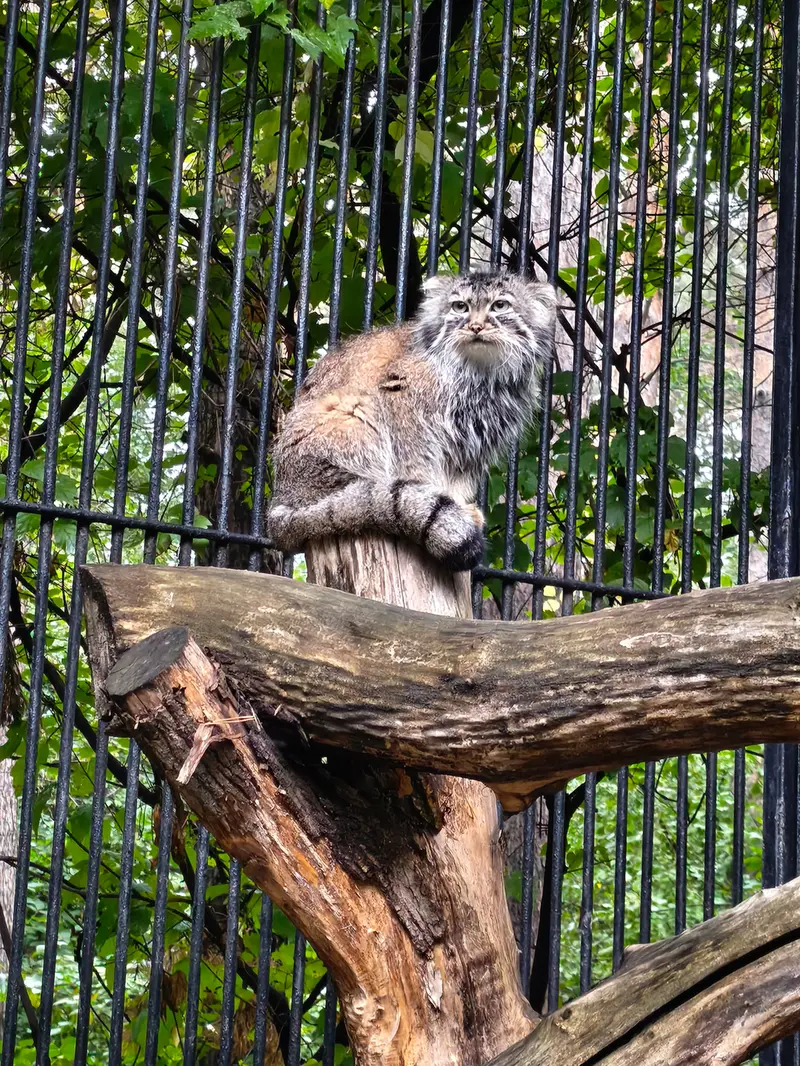 A photograph of Gabi in Novosibirsk Zoo