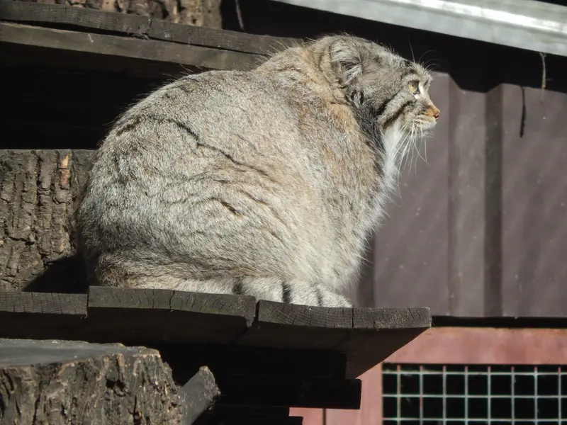 A photograph of Timofey in Moscow zoo