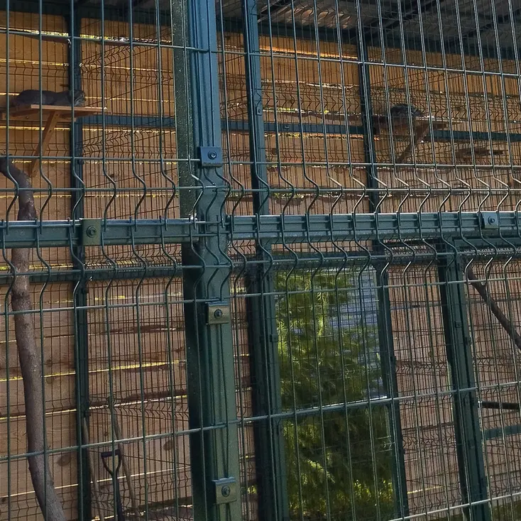 A photograph of Pepe and Chip in Barnaul zoo “Lesnaya skazka”