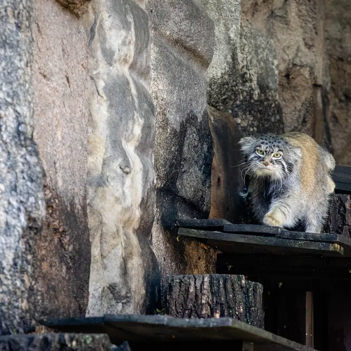 A photograph of Timofey in Moscow zoo