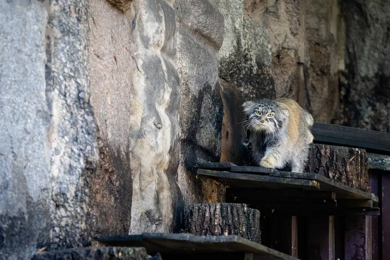 A photograph of Timofey in Moscow zoo