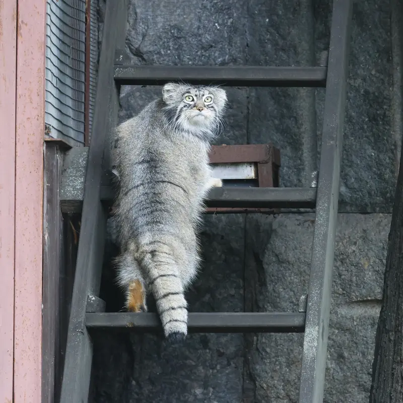 A photograph of Timofey in Moscow zoo