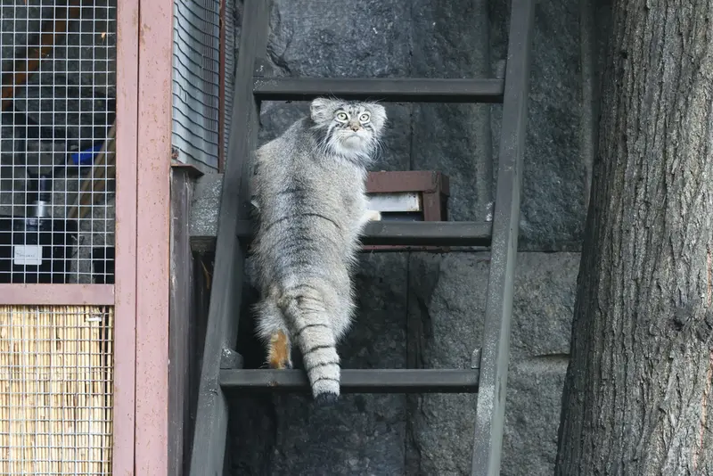 A photograph of Timofey in Moscow zoo