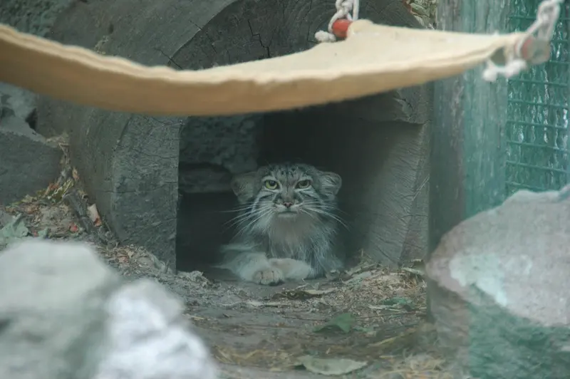 A photograph of Lucy in Budapest Zoo & Botanical Garden