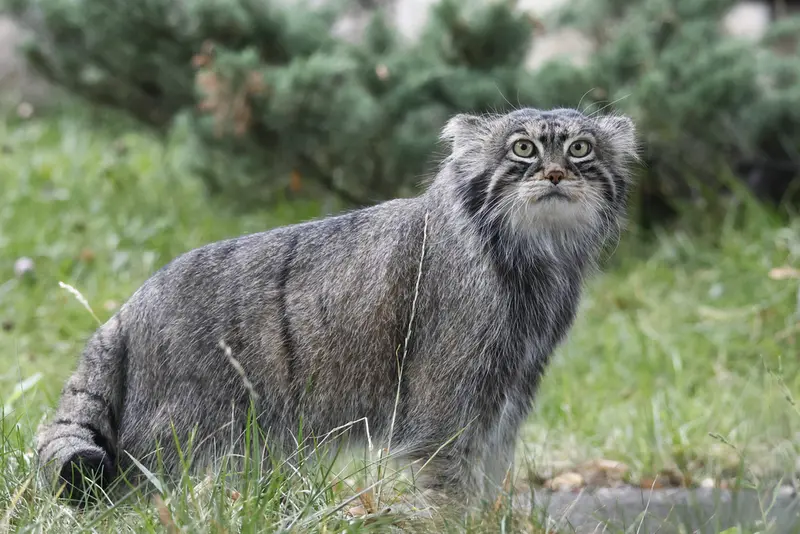 A photograph of Timofey in Moscow zoo