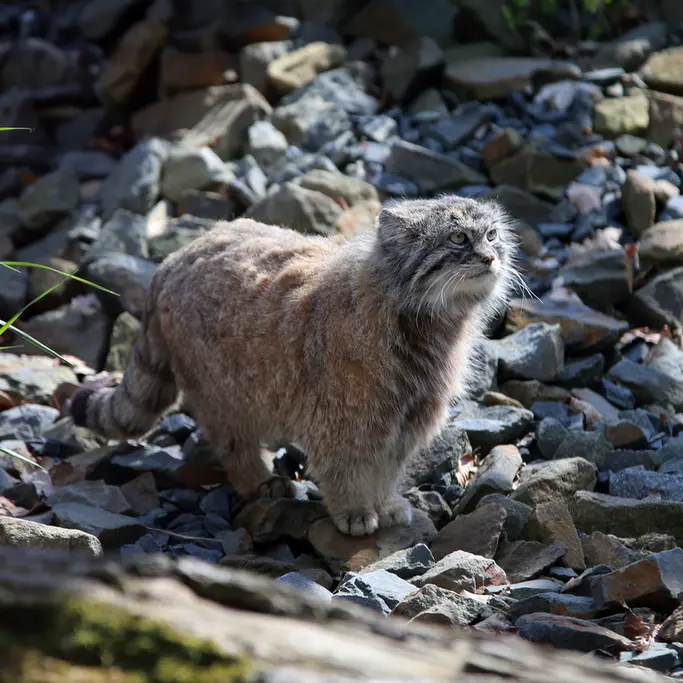 A photograph of Moira in Ostrava Zoo