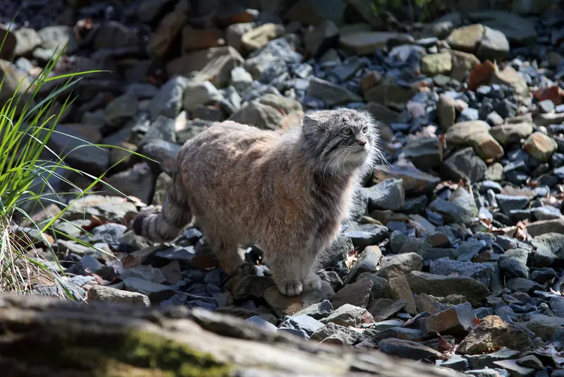 A photograph of Moira in Ostrava Zoo