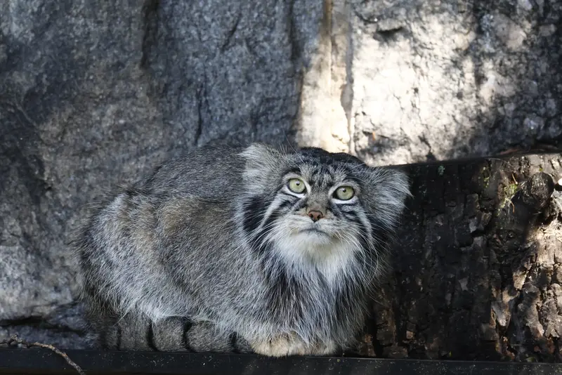 A photograph of Timofey in Moscow zoo