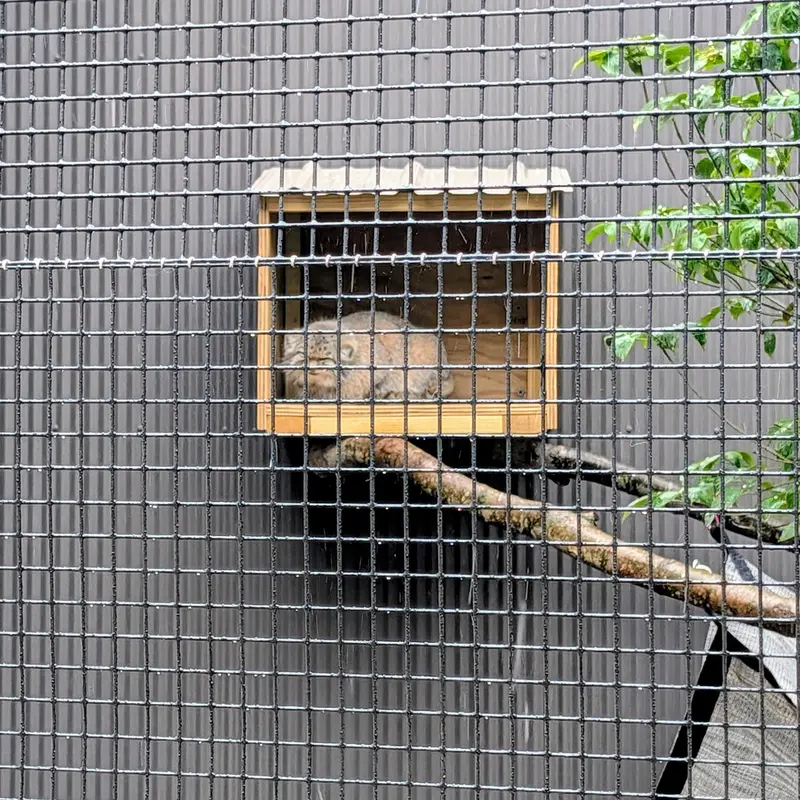 A photograph of Reza in Elmwood Park Zoo