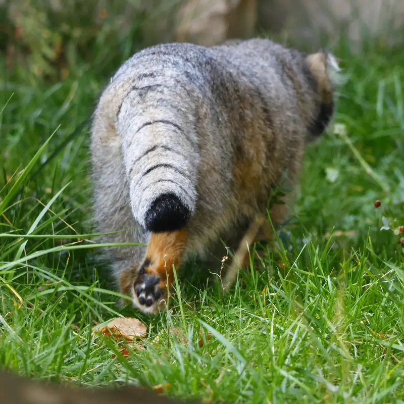 A photograph of Timofey in Moscow zoo