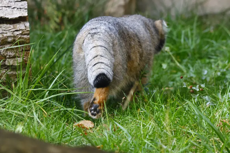 A photograph of Timofey in Moscow zoo