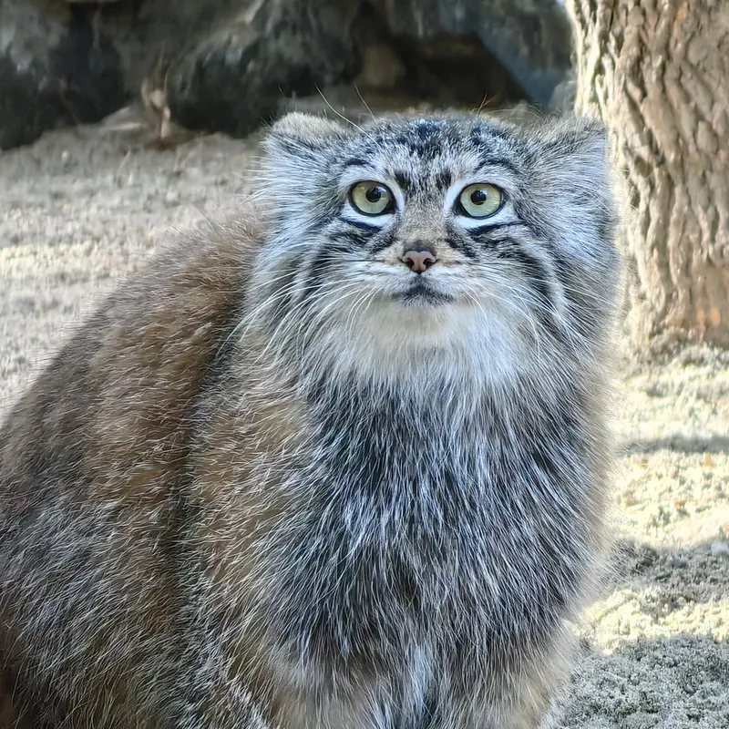 A photograph of Anya in Novosibirsk Zoo