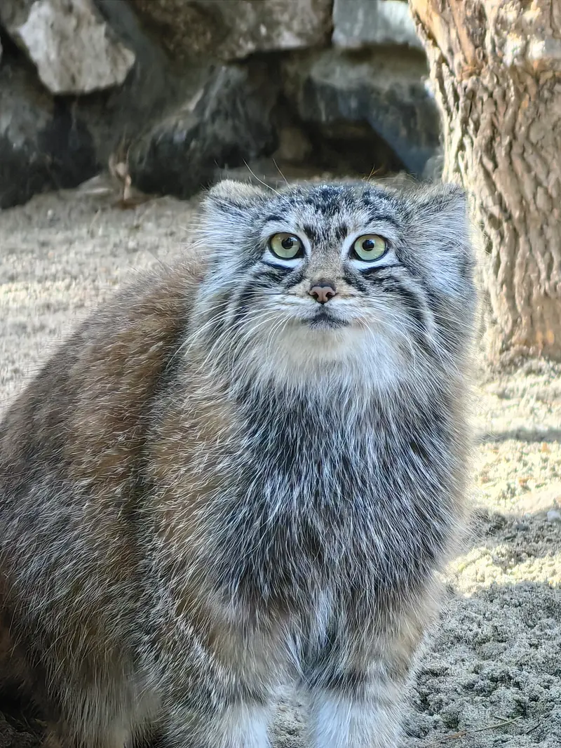 A photograph of Anya in Novosibirsk Zoo