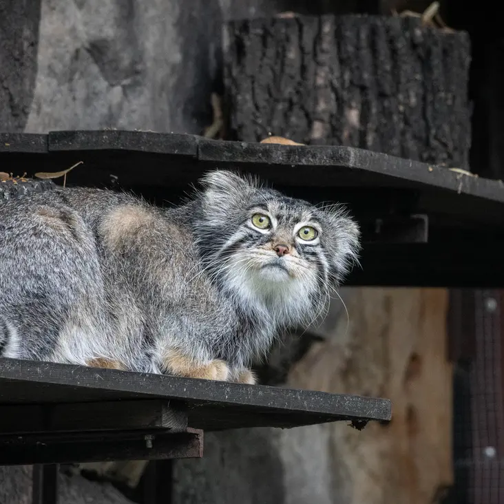 A photograph of Timofey in Moscow zoo