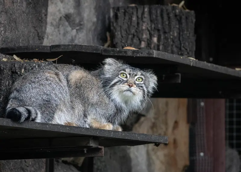 A photograph of Timofey in Moscow zoo