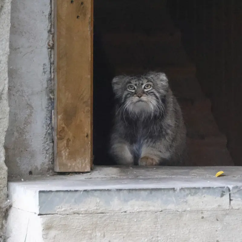 A photograph of Timofey in Moscow zoo