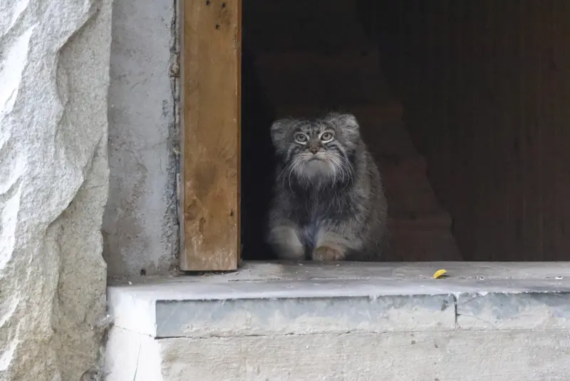 A photograph of Timofey in Moscow zoo