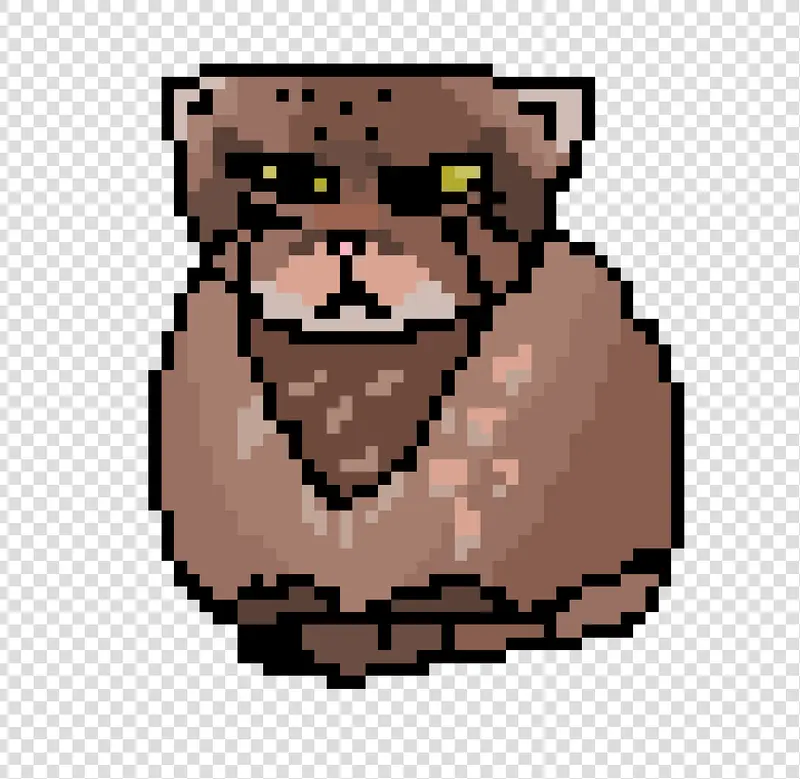 A photograph of a Pallas's cat