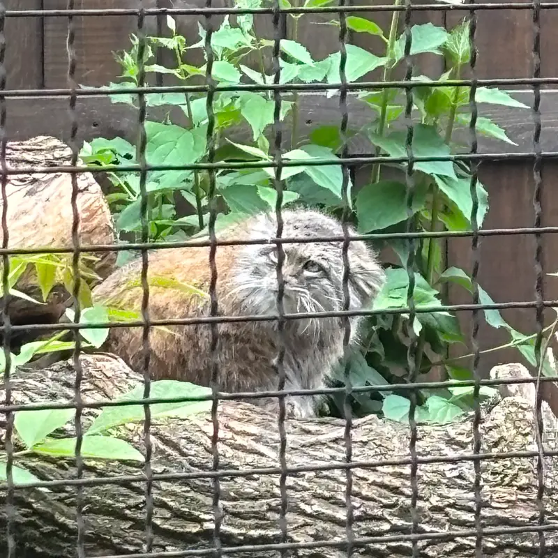 A photograph of Jessie in Warsaw Zoo