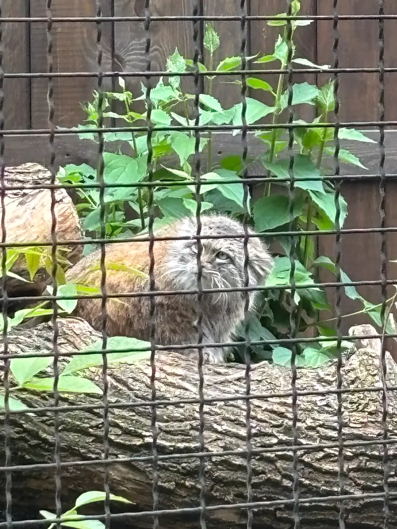 A photograph of Jessie in Warsaw Zoo