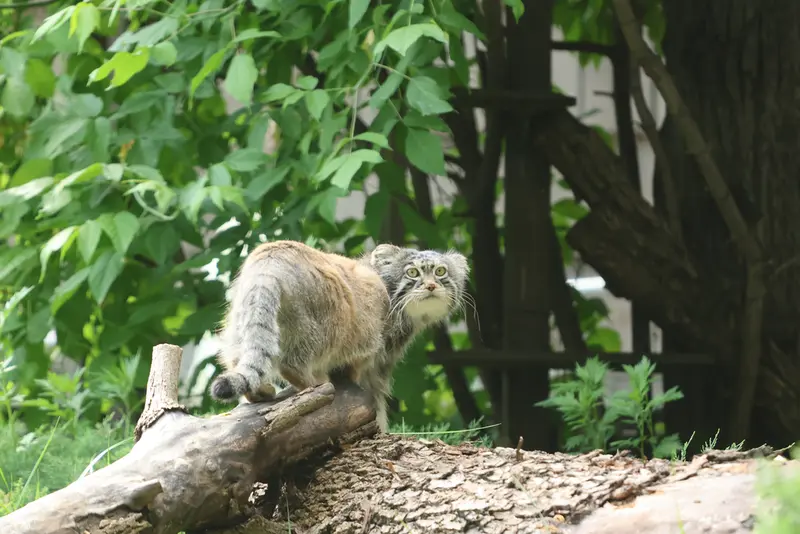 A photograph of Timofey in Moscow zoo
