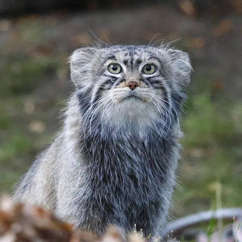 A photograph of Timofey in Moscow zoo