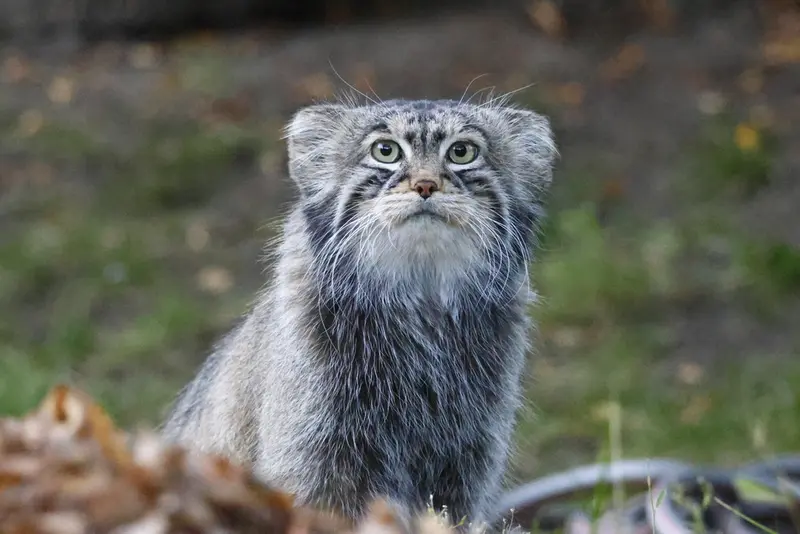 A photograph of Timofey in Moscow zoo