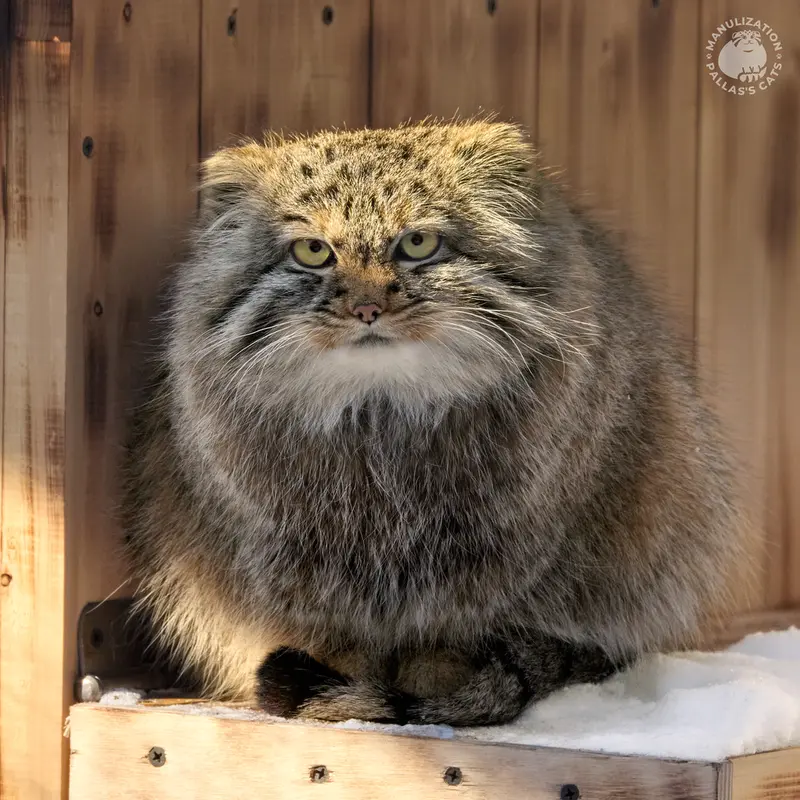 A photograph of Gabi in Novosibirsk Zoo