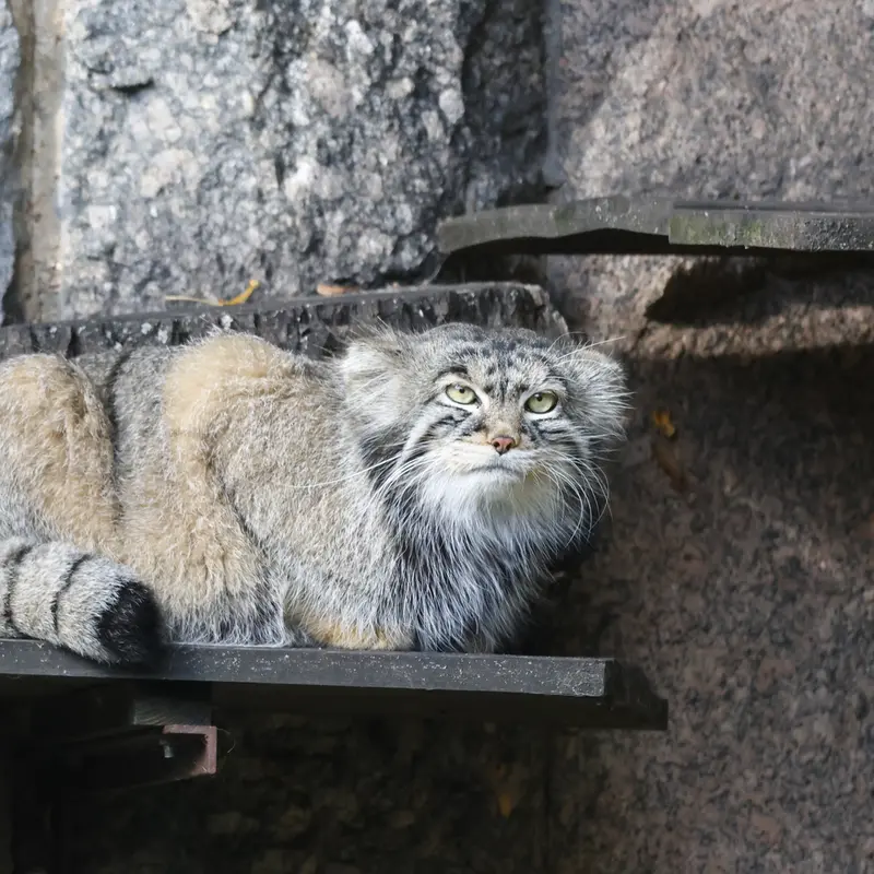 A photograph of Timofey in Moscow zoo