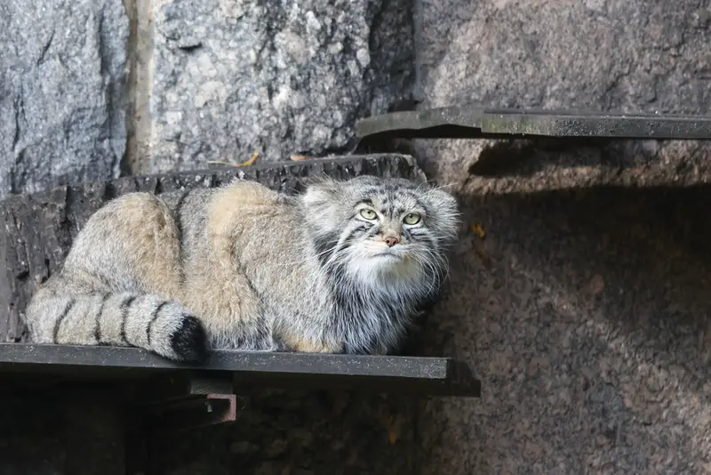 A photograph of Timofey in Moscow zoo