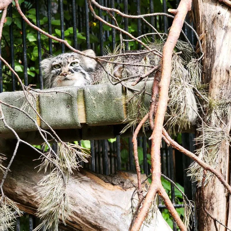 A photograph of Gabi in Novosibirsk Zoo