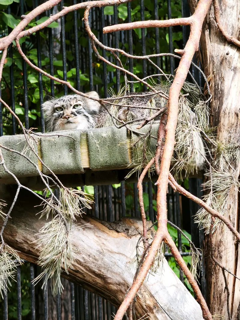 A photograph of Gabi in Novosibirsk Zoo