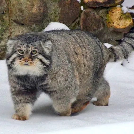 A photograph of Vadim in Moscow zoo
