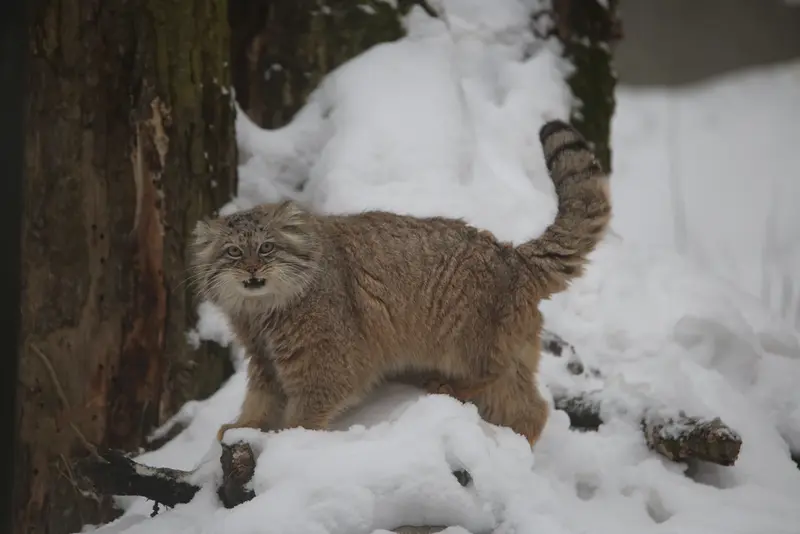 A photograph of Manuel in Gdansk Zoo