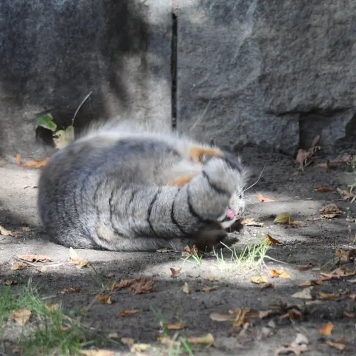 A photograph of Timofey in Moscow zoo