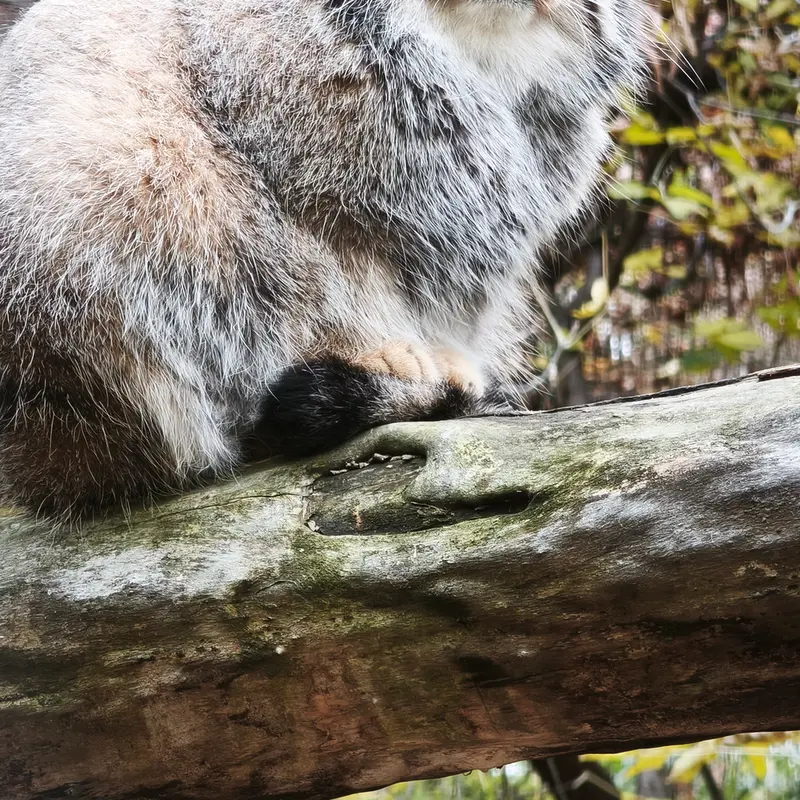 A photograph of Eve in Novosibirsk Zoo