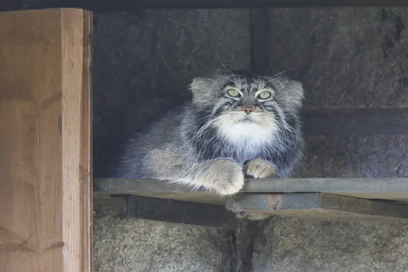 A photograph of Timofey in Moscow zoo