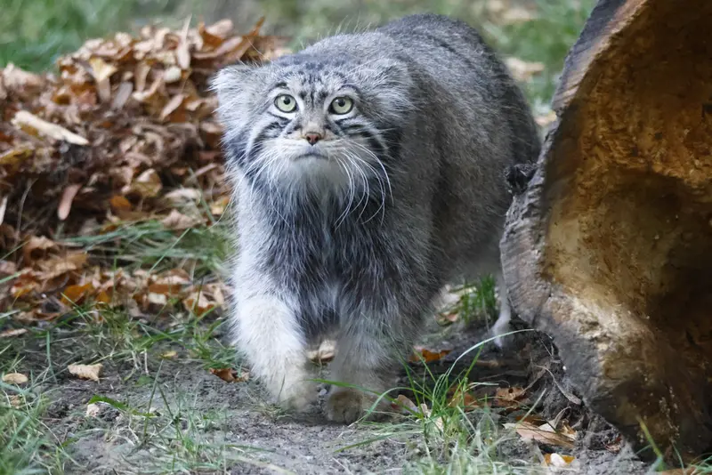 A photograph of Timofey in Moscow zoo
