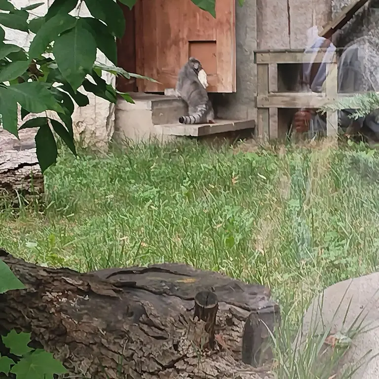 A photograph of Timofey in Moscow zoo