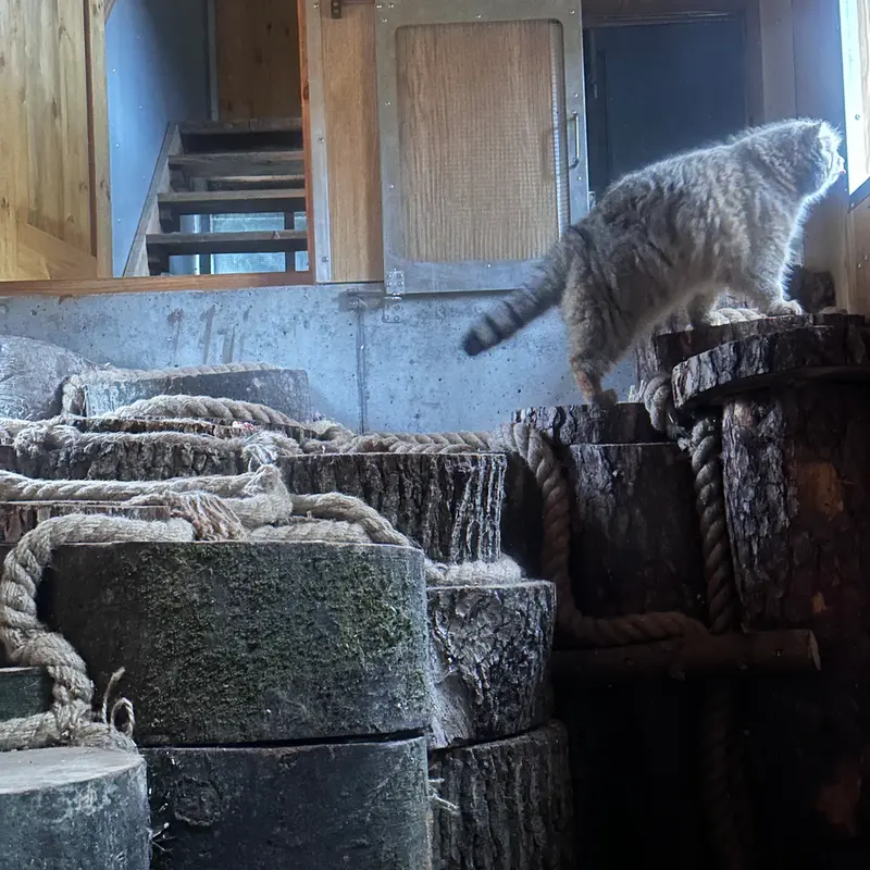 A photograph of Manuel in Gdansk Zoo