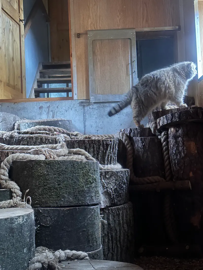 A photograph of Manuel in Gdansk Zoo