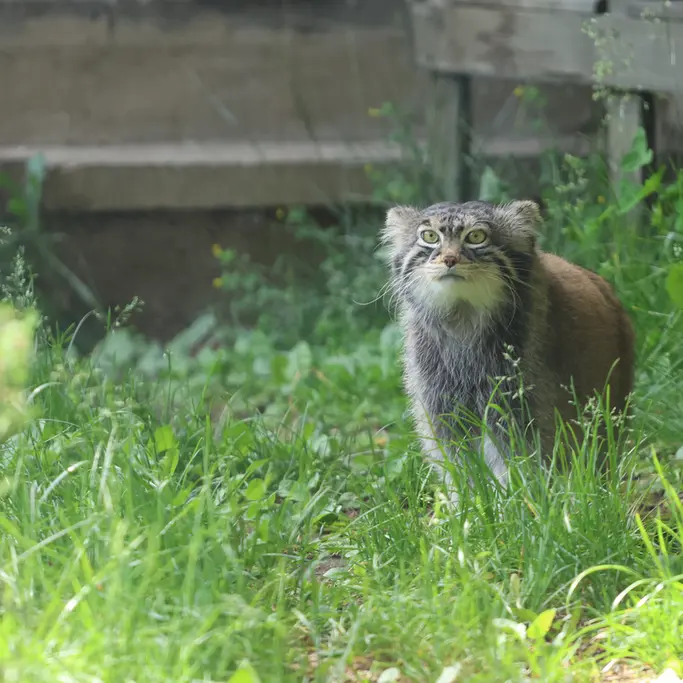 A photograph of Timofey in Moscow zoo