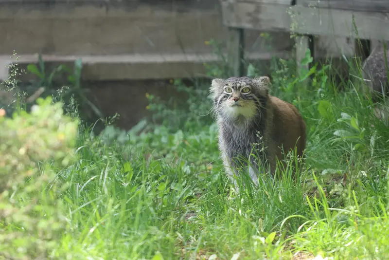 A photograph of Timofey in Moscow zoo
