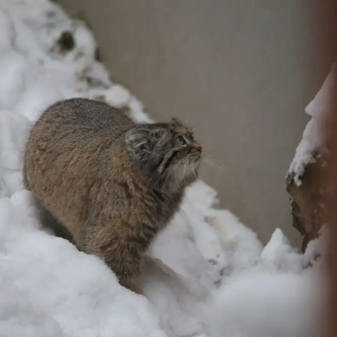 A photograph of Ula in Gdansk Zoo