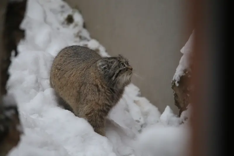 A photograph of Ula in Gdansk Zoo