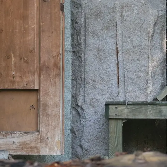 A photograph of a Pallas's cat in Moscow zoo