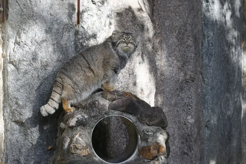 A photograph of Timofey in Moscow zoo