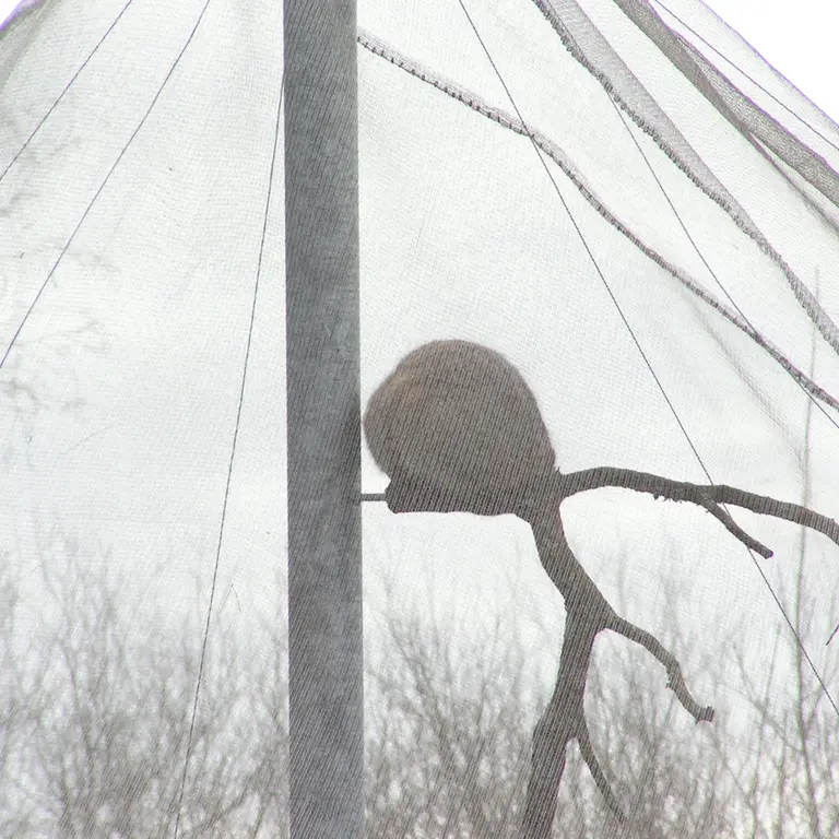 A photograph of Bat-Erdene in The Lakeland Wildlife Oasis