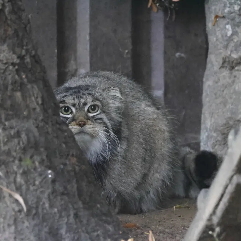 A photograph of Timofey in Moscow zoo