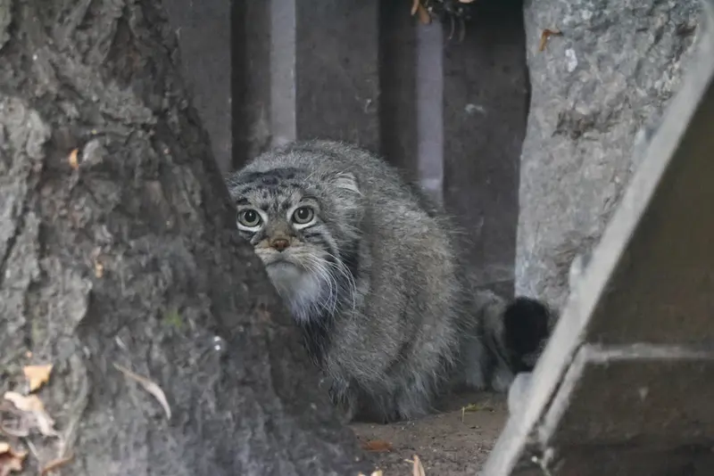 A photograph of Timofey in Moscow zoo
